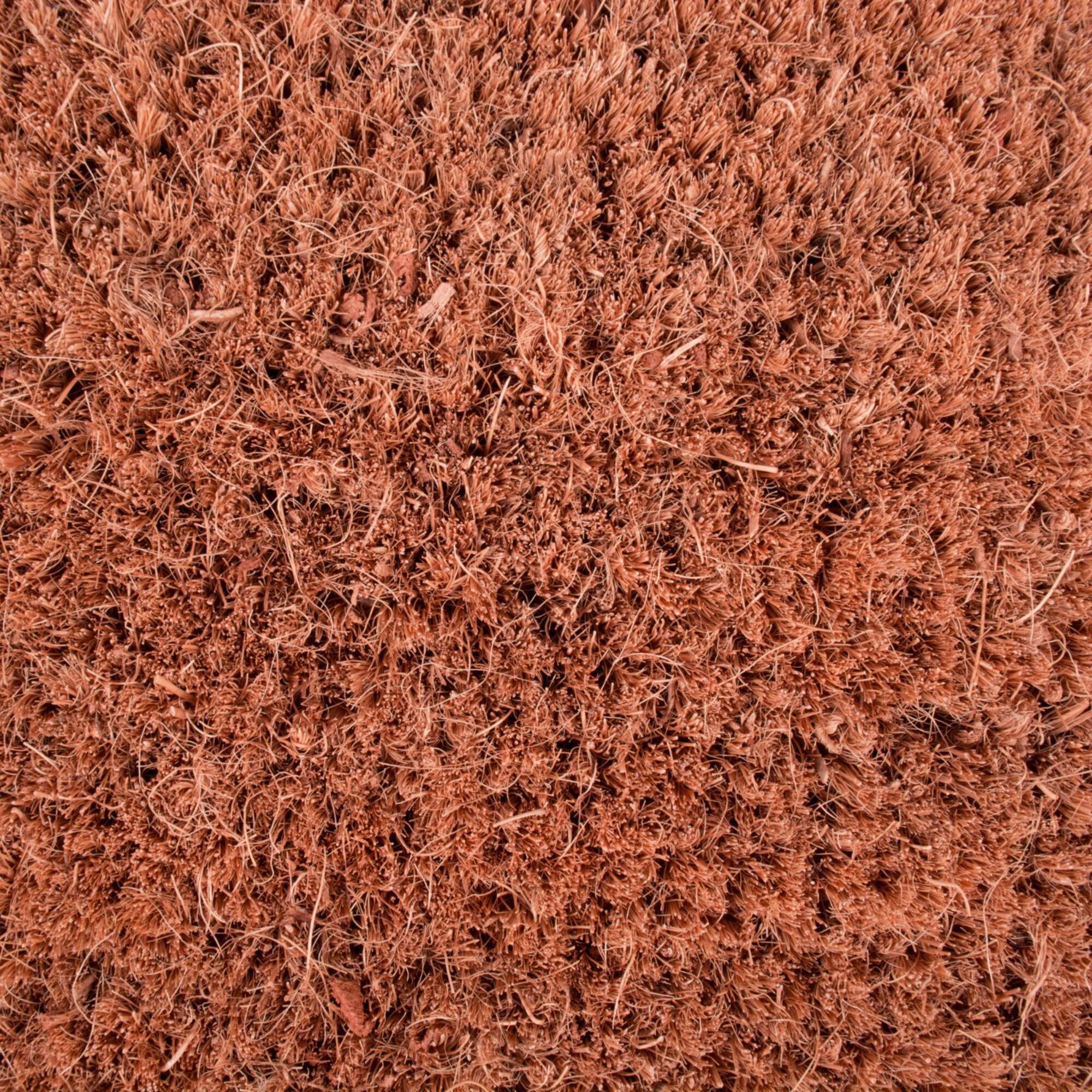 DII® Beach House Doormat
